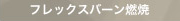 フレックスバーン燃焼